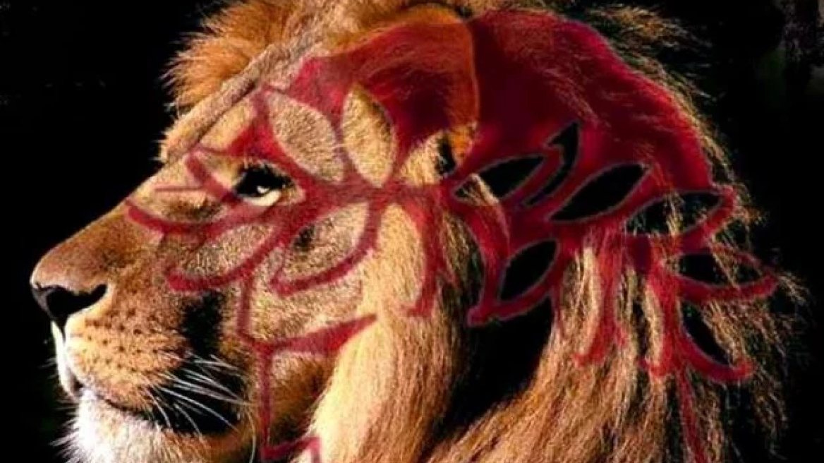 Ολυμπιακός Blog: ΤΕΛΟΣ τα ημίμετρα. Πλάνο, όραμα και χαρισματικός προπονητής