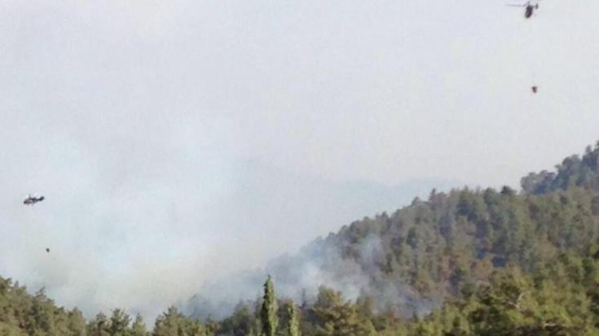 Κύπρος: Μεγάλη φωτιά στον Πύργο Τυλληρίας