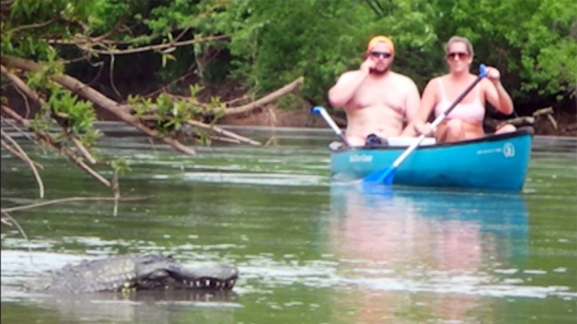 Φάρσα με τηλεκατευθυνόμενο κροκόδειλο - Πολύ γέλιο