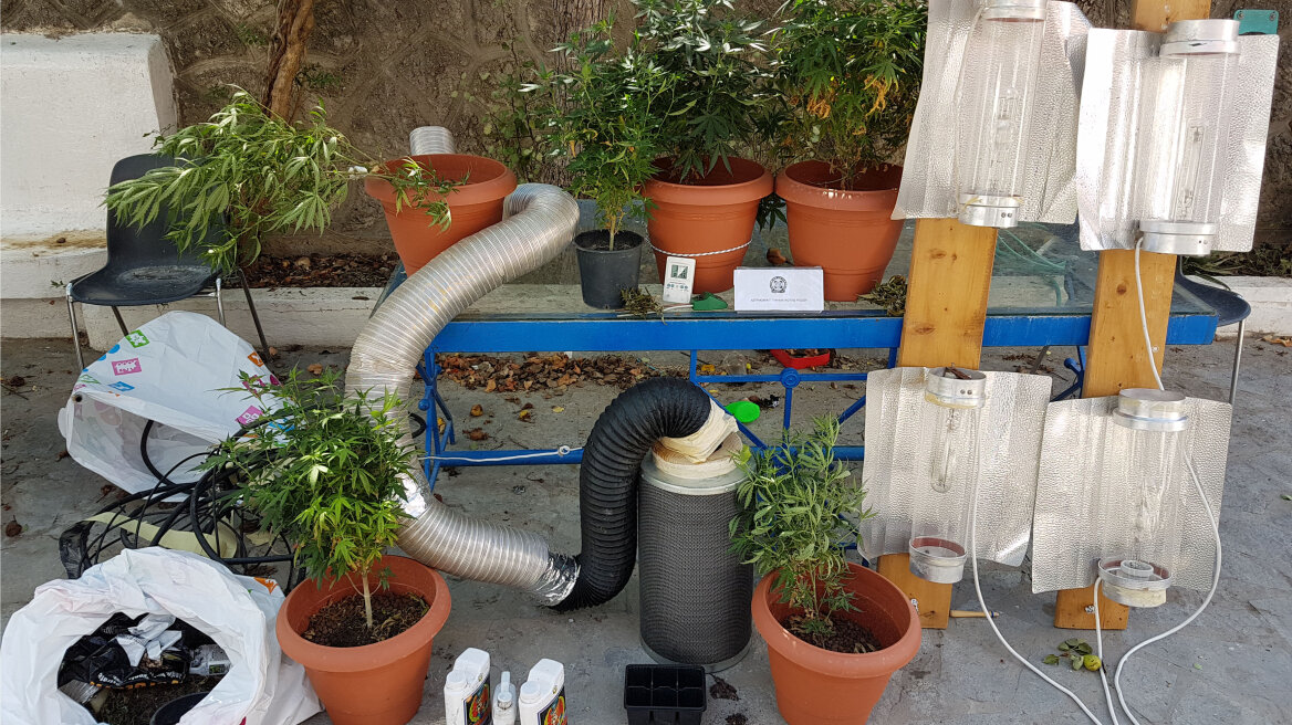 Ρόδος: Είχε μετατρέψει το σπίτι του σε εργαστήριο υδροπονικής κάνναβης