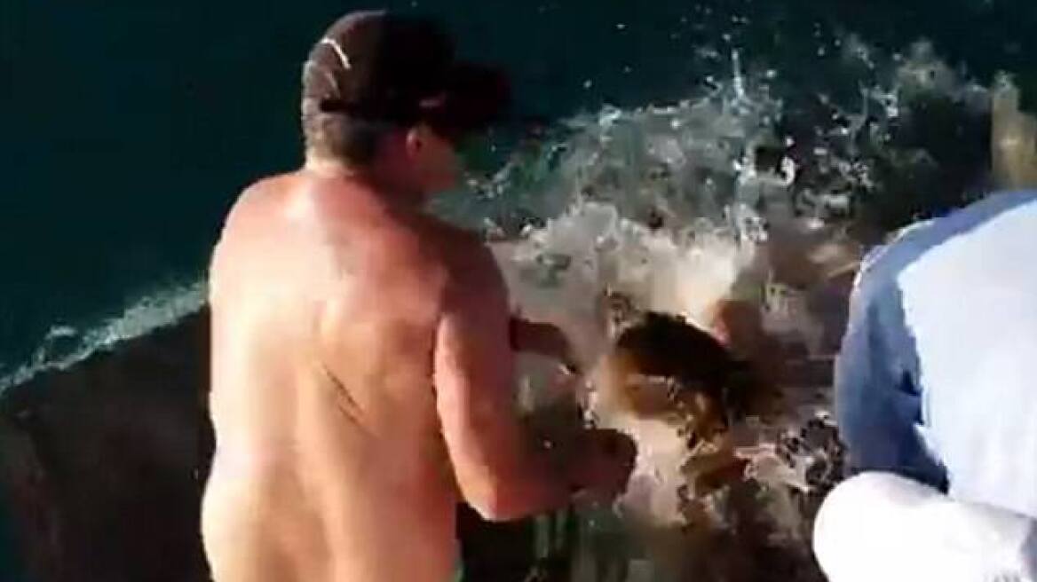 Σοκαριστικό βίντεο: Καρχαρίας παρέσυρε τουρίστρια ενώ τον τάιζε