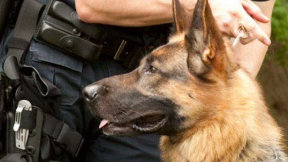 Ζάκυνθος: Τον πρόλαβαν πριν ρίξει στην αγορά μισό κιλό χασίς