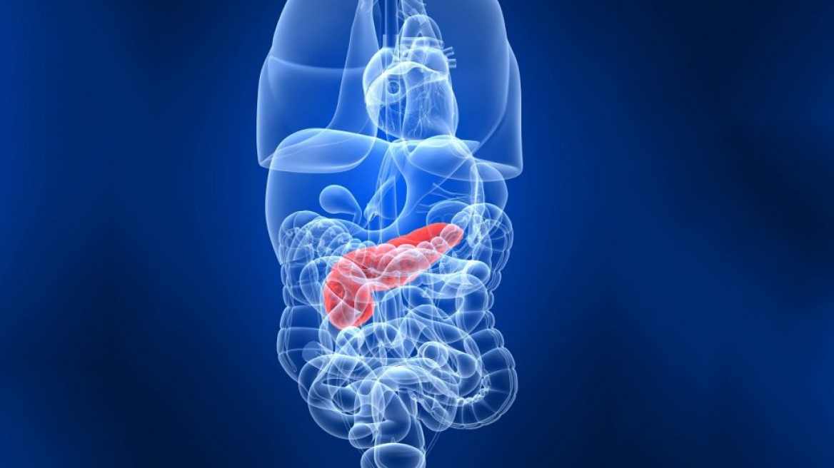 10 τροφές που βοηθούν το πάγκρεας να αποτοξινωθεί