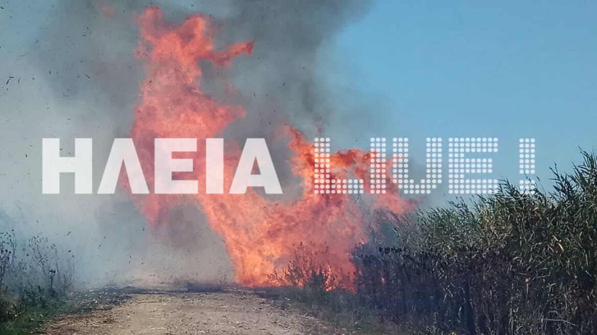 Πύργος: Υπό μερικό έλεγχο η φωτιά στην περιοχή Σπιάντζα