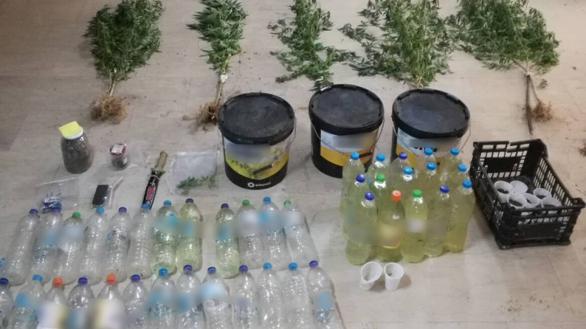 Σκύλος ανακάλυψε την κρυφή χασισοφυτεία δυο αδελφών στη Ροδόπη