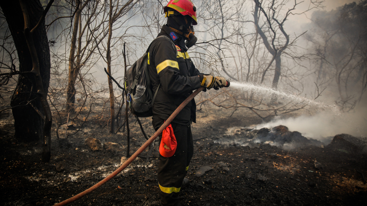 Ένωση Ελλήνων Εφοπλιστών: «Η σκέψη μας είναι κοντά στα θύματα της εθνικής τραγωδίας»