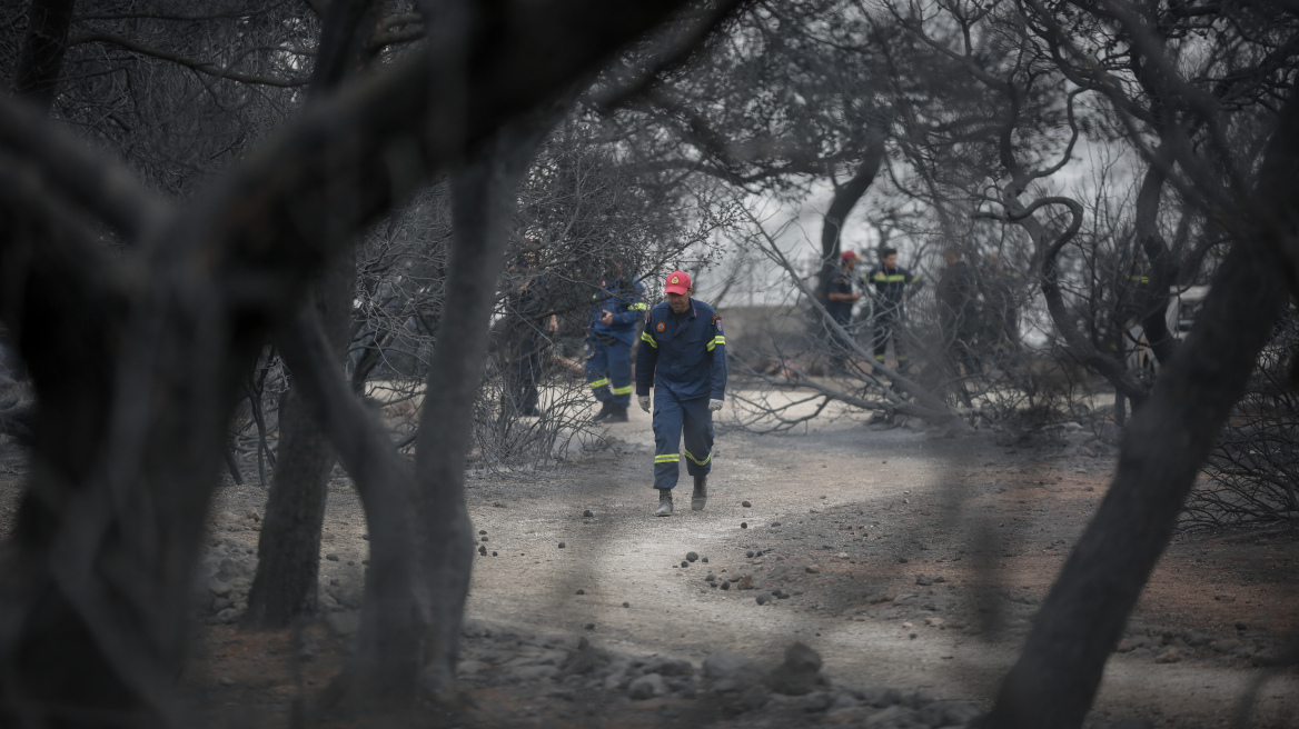H Ευρωκλινική Παίδων ανοίγει το τμήμα επειγόντων στα παιδιά των περιοχών που επλήγησαν από τις πυρκαγιές
