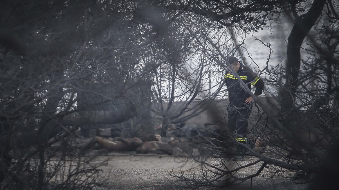 Μιλγουόκι Μπακς: «Συλλυπητήρια στην Ελλάδα, οι προσευχές μας μαζί σας» 