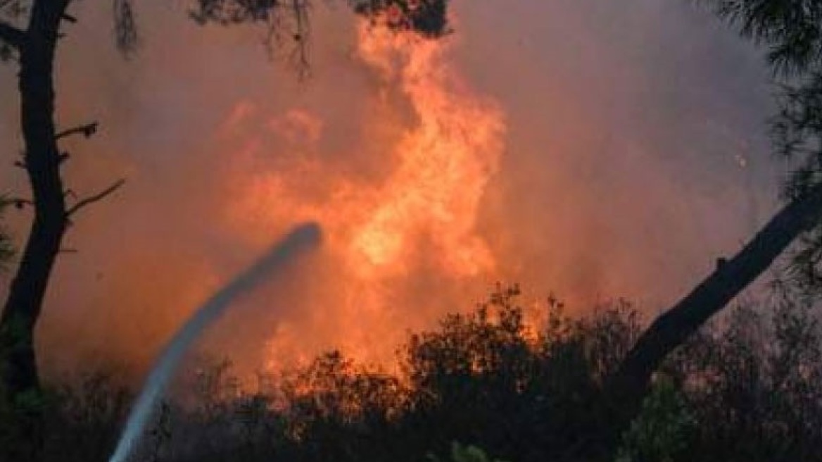 Υπό έλεγχο πυρκαγιά που ξέσπασε στη Νέα Μάκρη