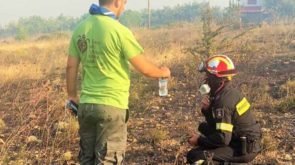 Οι εθελοντές με τα μαντήλια: Στο πλευρό των πυρόπληκτων και οι πρόσκοποι