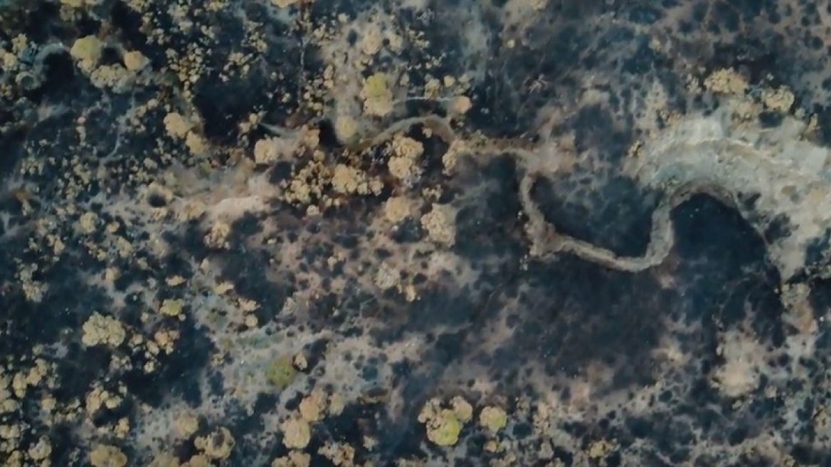 Βίντεο: Drone δείχνει την εικόνα της απίστευτης καταστροφής στα Γεράνεια Όρη