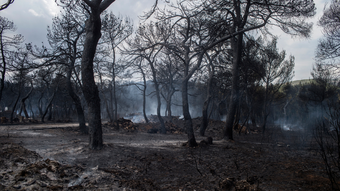 Πυροσβεστική: 70 θύματα έχουν ταυτοποιηθεί μέσω DNA- 14 οι αγνοούμενοι από τη φωτιά στο Μάτι