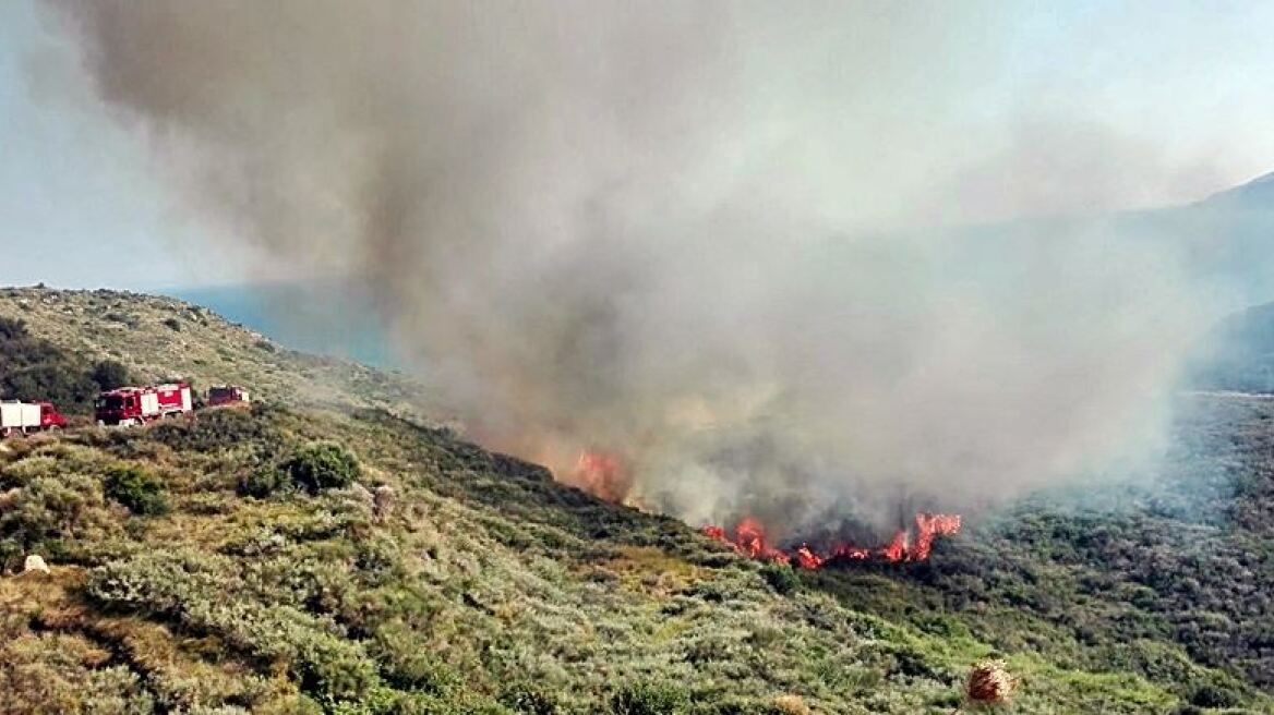 Πύρινα μέτωπα σε Ζάκυνθο, Πάρο και Εύβοια 