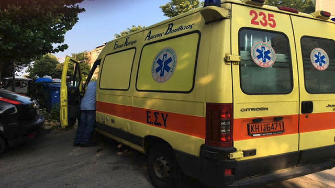 Αργολίδα: Επίθεση σκύλου σε νεαρό τουρίστα στις Μυκήνες