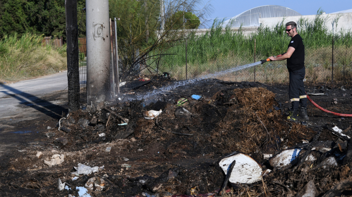 Υπό έλεγχο η φωτιά στη Γαλάζια Ακτή στον Σχοινιά
