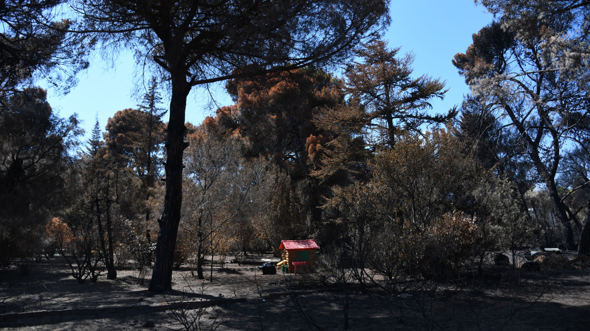 Φωτογράφος του AFP για το Μάτι: Ήταν χειρότερα από εμπόλεμη ζώνη