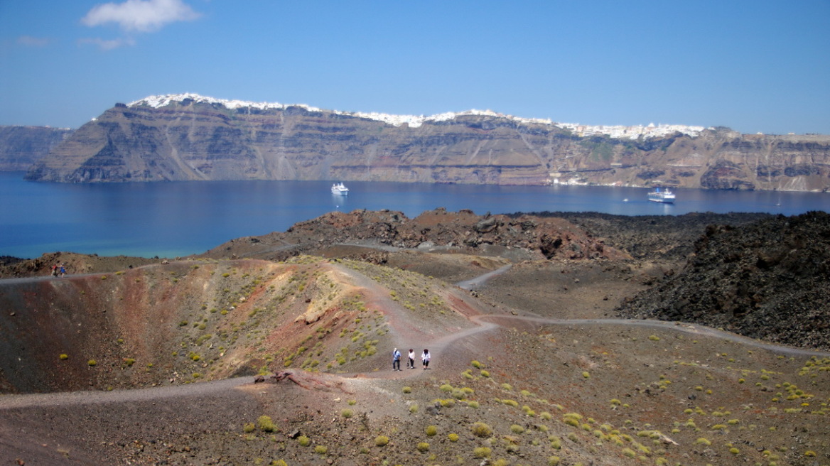 Ηφαίστειο Σαντορίνης: Προϊστορική ελιά ανοίγει ξανά τις έρευνες για τη χρονολόγηση της έκρηξης