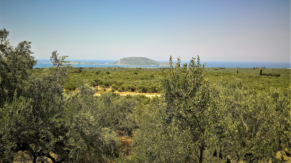 Δίχτυα… στο Μάραθο