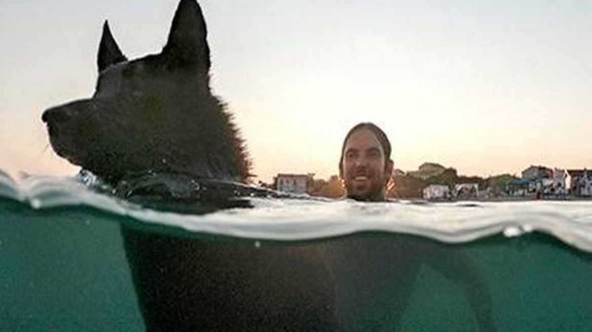 Κροατία: Διαγωνισμός κολύμβησης, παγωτού και μπύρας για... σκύλους σε beach bar