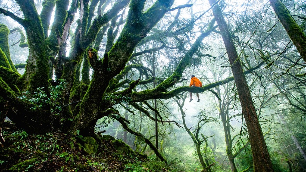 Τα οικοσυστήματα της Γης απειλούνται με μια «μείζονα μεταμόρφωση» που έχει ήδη ξεκινήσει!