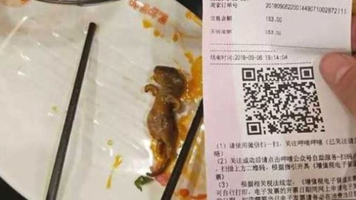 Νεκρός αρουραίος σε σούπα κόστισε 190 εκατ. δολάρια σε εστιατόριο στην Κίνα!