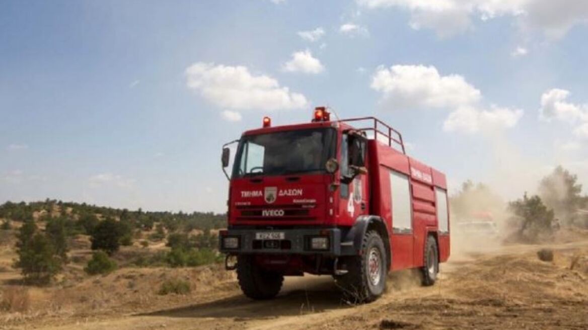 Ανεξέλεγκτη φωτιά απειλεί δάσος στην Κύπρο