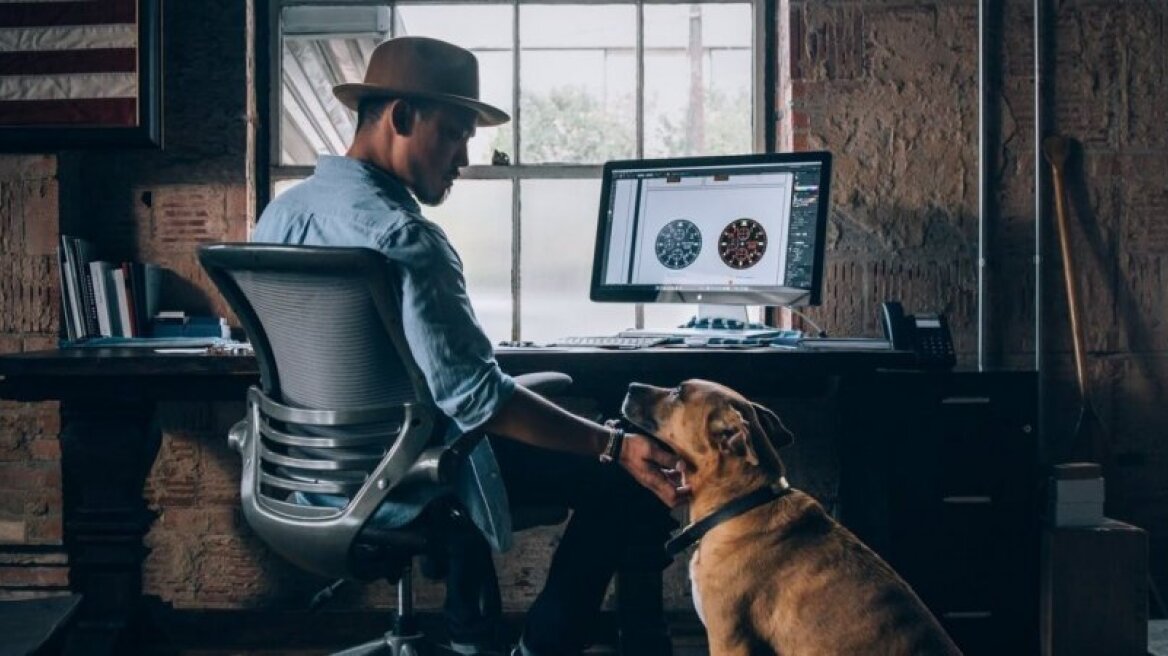 Εταιρεία δίνει άδεια στους υπαλλήλους που... αποκτούν κατοικίδιο!