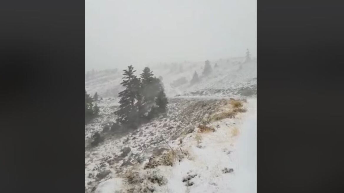 Στα λευκά ο Παρνασσός από την κακοκαιρία του «Ξενοφώντα»: Σαρωτικοί άνεμοι και χιόνι