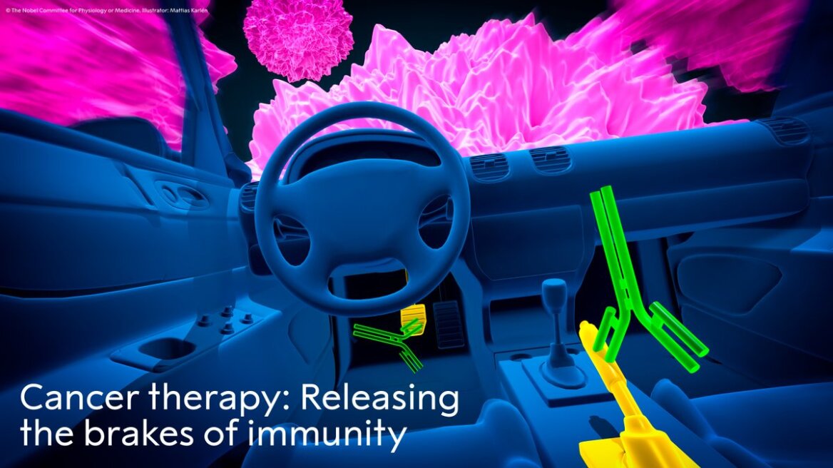 Το Νόμπελ Ιατρικής δόθηκε σε δύο ανοσολόγους για τις έρευνές τους κατά του καρκίνου