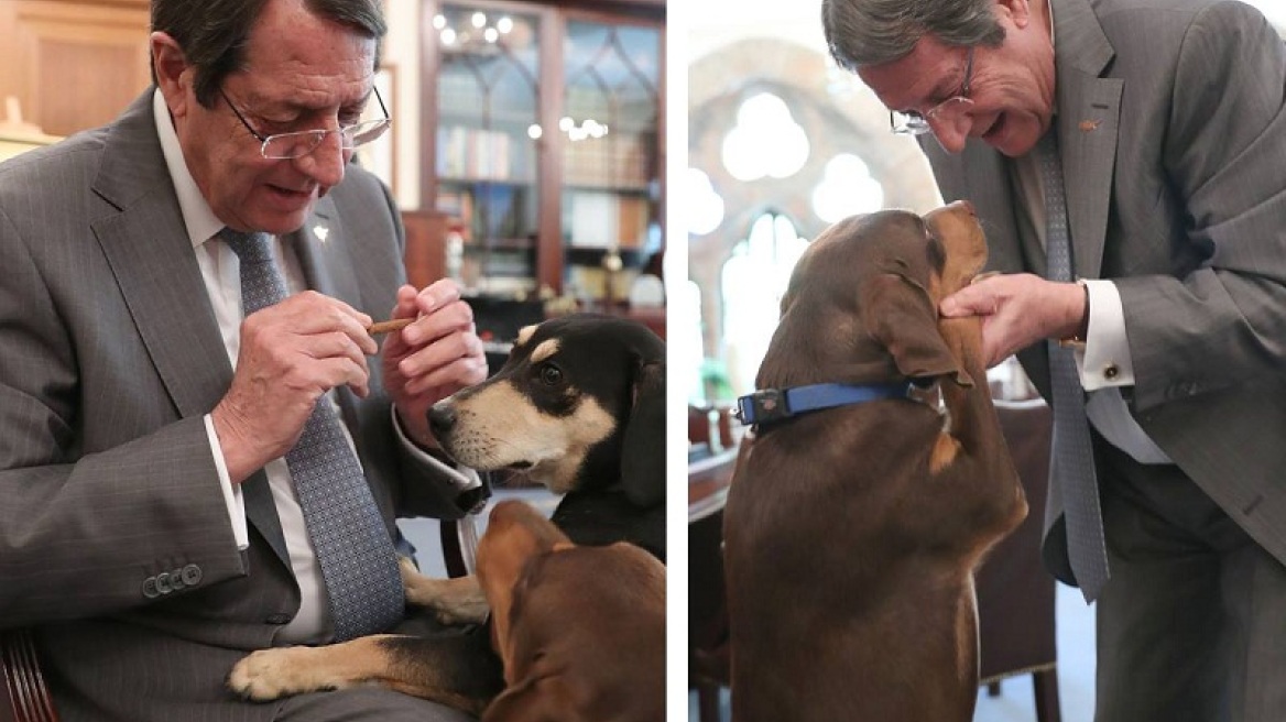 Ο Νίκος Αναστασιάδης παίζει με τα δύο σκυλιά του