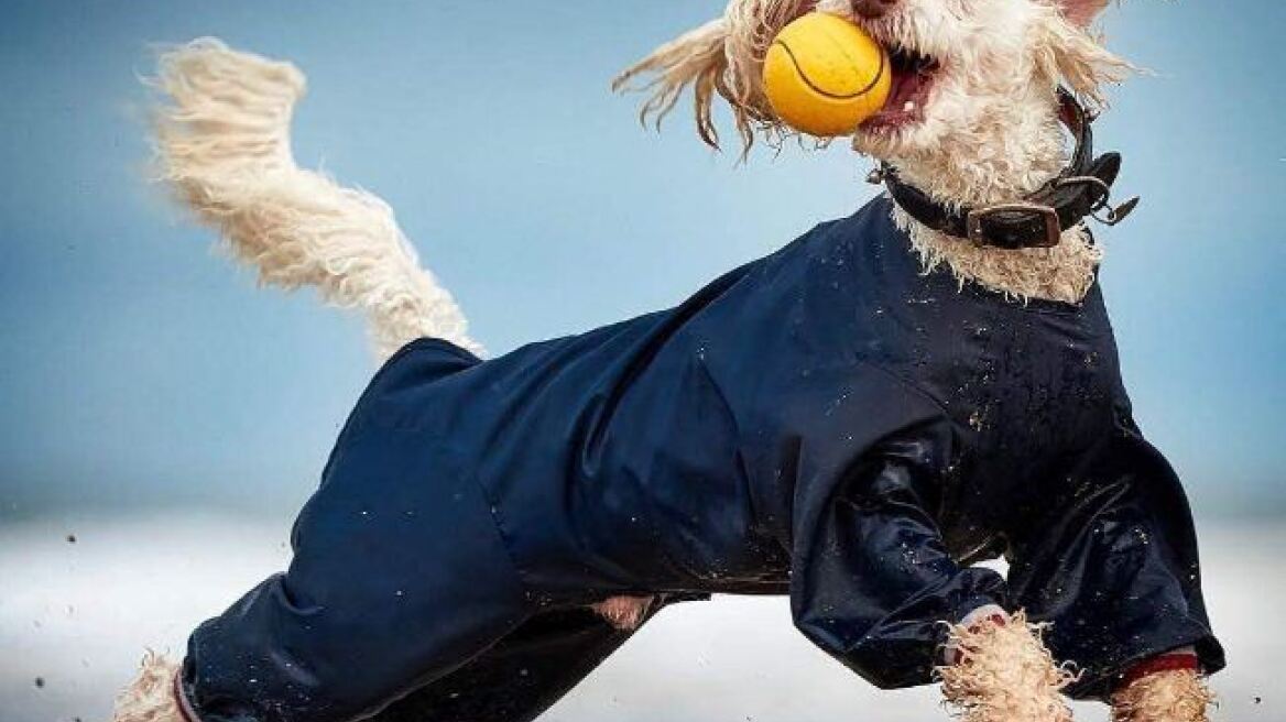 Βραβεία PIPA 2018: Δείτε τις πιο εντυπωσιακές φωτογραφίες του Instagram για τη φετινή χρονιά!