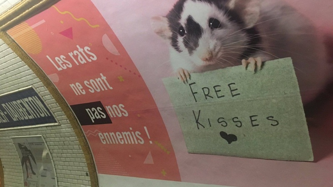 Γαλλία: Ακτιβιστές στο Παρίσι ζητούν να μπει «τέλος» στη «σφαγή» των αρουραίων