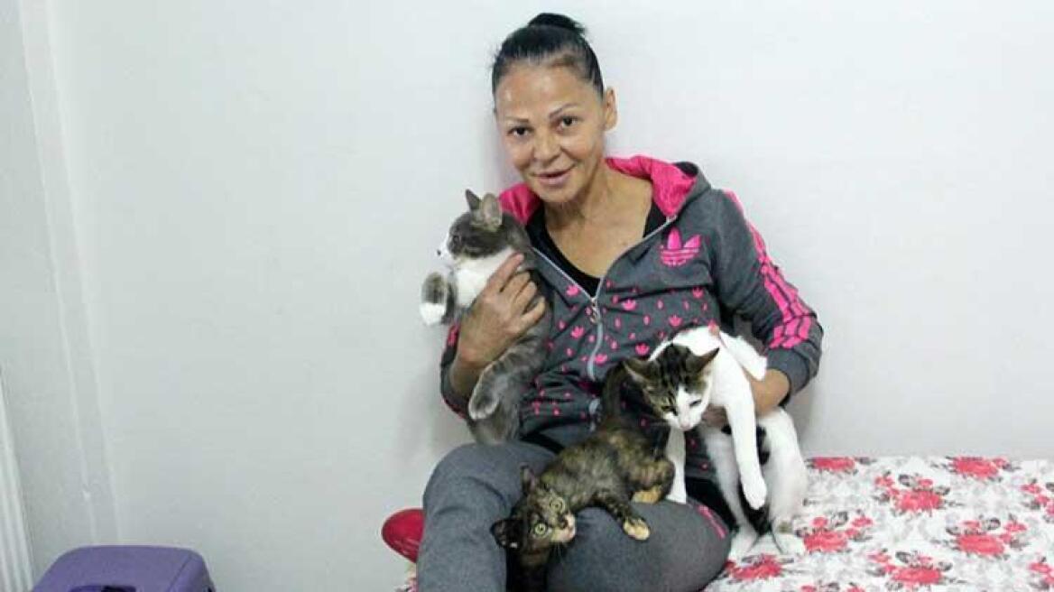 Τουρκία: Ιερόδουλες έκαναν μήνυση σε οίκο ανοχής - Τις απέλυσαν επειδή τάιζαν γάτες!