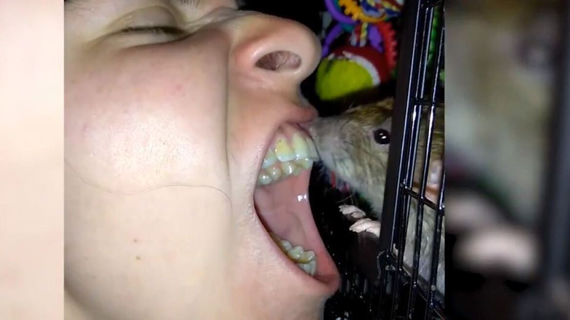 Ιδιοκτήτρια κατοικίδιου αρουραίου χρησιμοποιεί το τρωκτικό της για... οδοντόβουρτσα