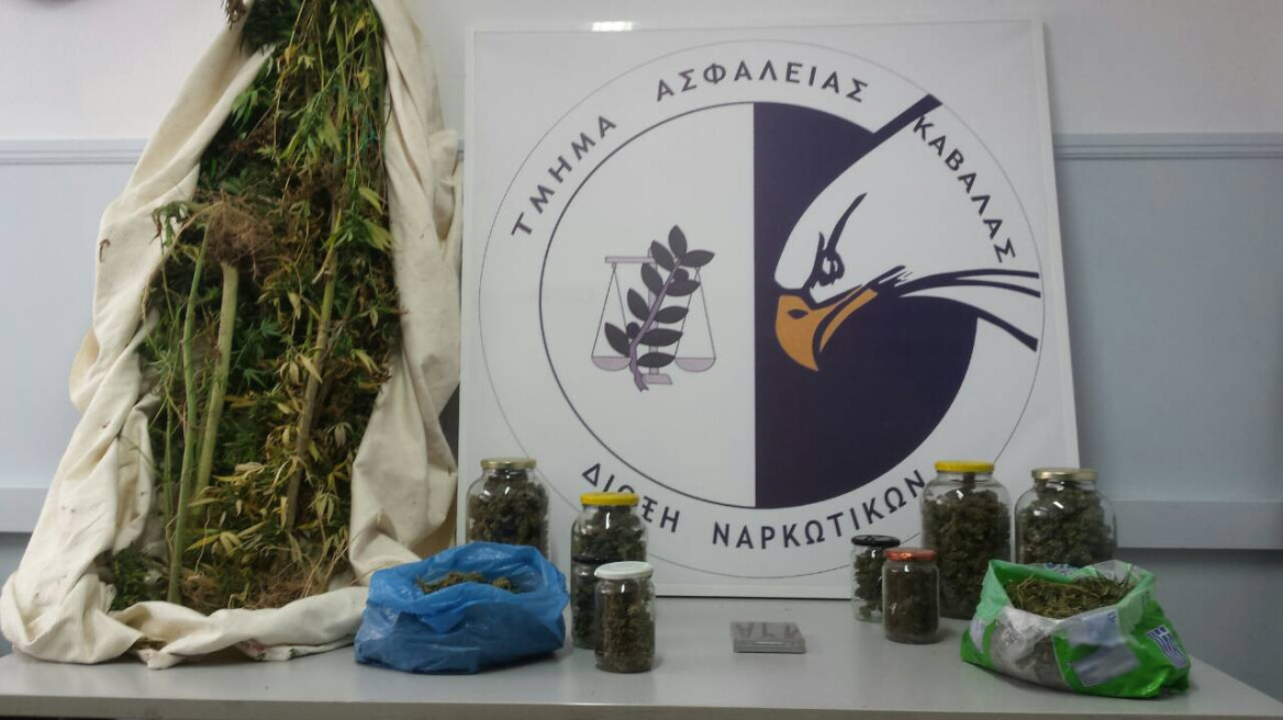 Καβάλα: Χασισοκαλλιεργητής συνελήφθη με ενάμισι κιλό κάνναβης