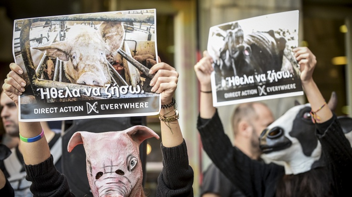 Φωτογραφίες: Φιλόζωοι ακτιβιστές έκαναν «ντου» στην Βαρβάκειο