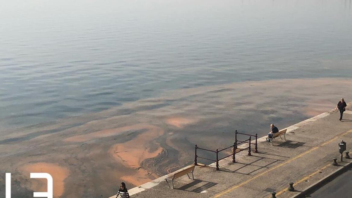 Θεσσαλονίκη: Ο Θερμαϊκός έγινε και πάλι... καφέ! 