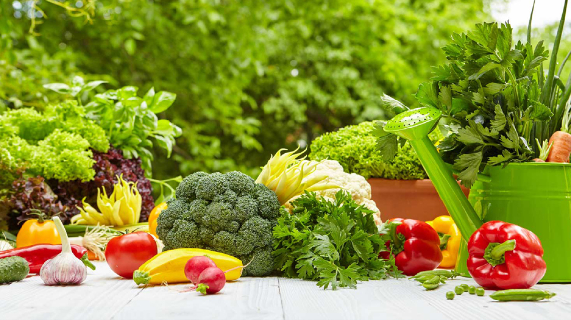 Η αξία της φυτικής διατροφής