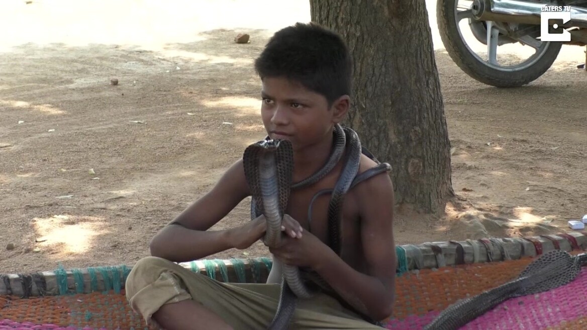 Βίντεο: Δείτε τον μικρό Ινδό που παίζει με θανάσιμες κόμπρες