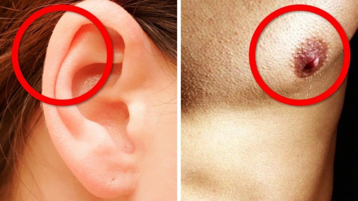 Τα μέρη του ανθρωπίνου σώματος που δεν χρειάζεστε πια