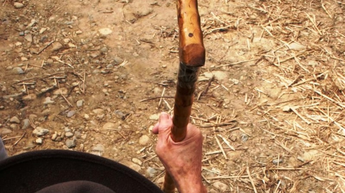 Σκηνές απείρου κάλλους στο Λασίθι: Κτηνοτρόφοι «πλακώθηκαν» με τις μαγκούρες για τα βοσκοτόπια