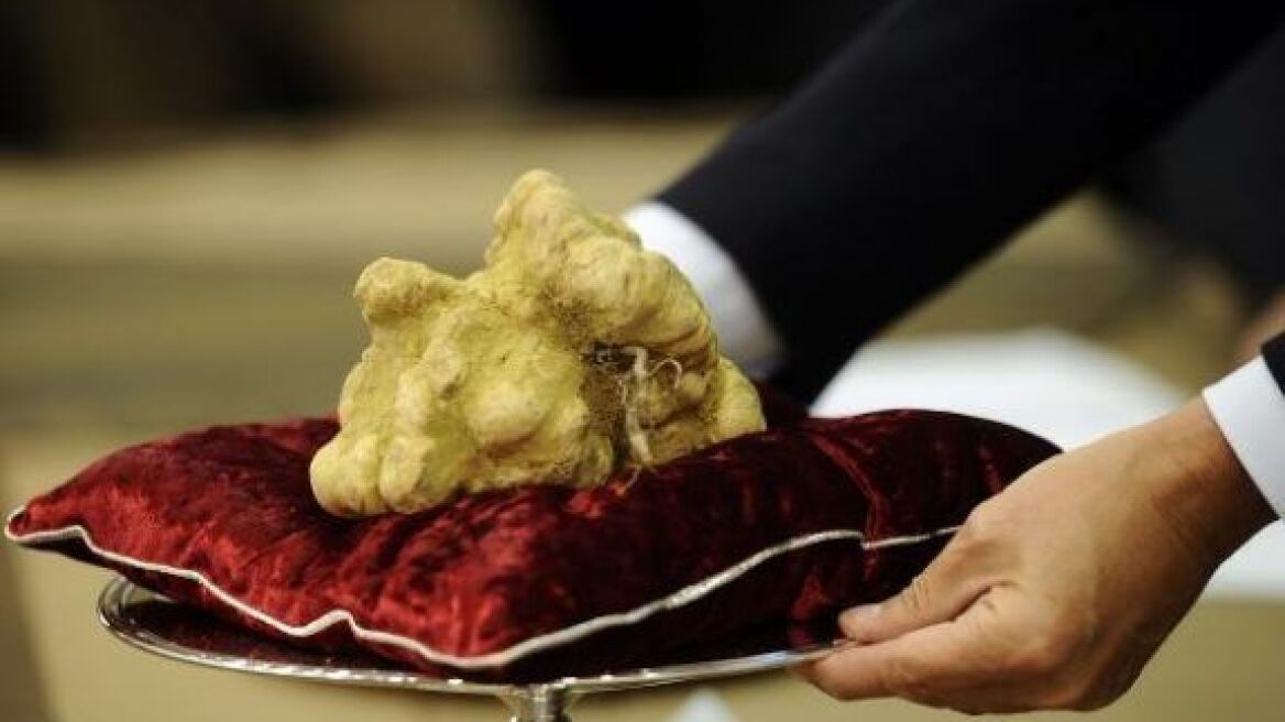 Σπάνια λευκή τρούφα πουλήθηκε για €85.000!