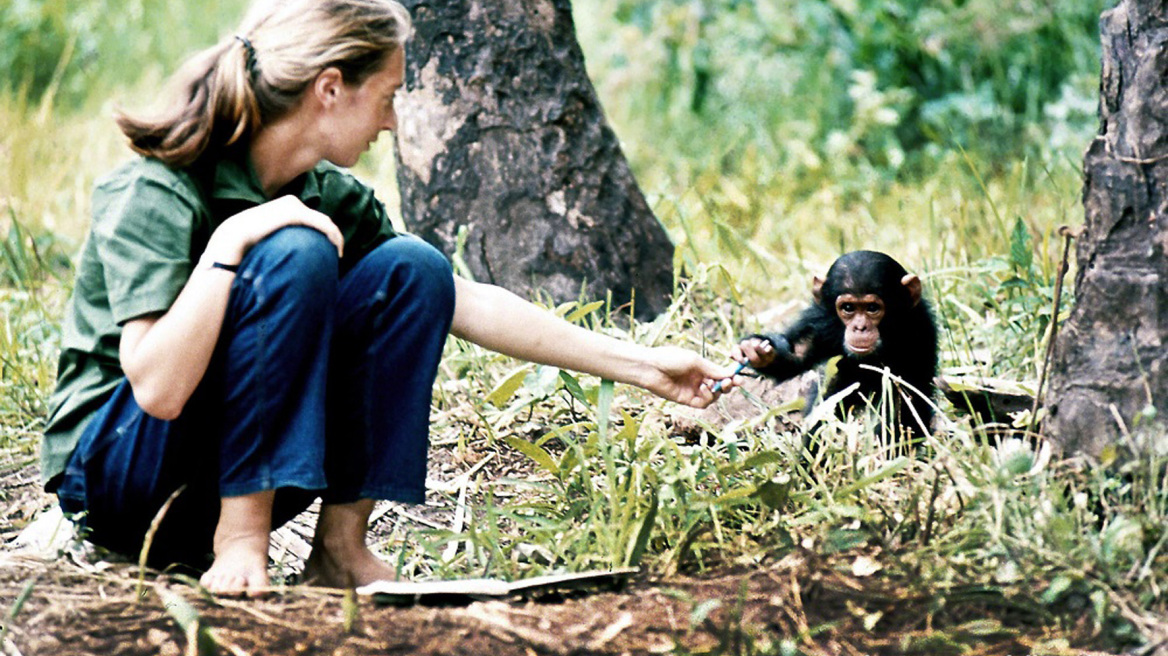 Η θρυλική Δρ. Τζέιν Γκούντολ έρχεται Ελλάδα