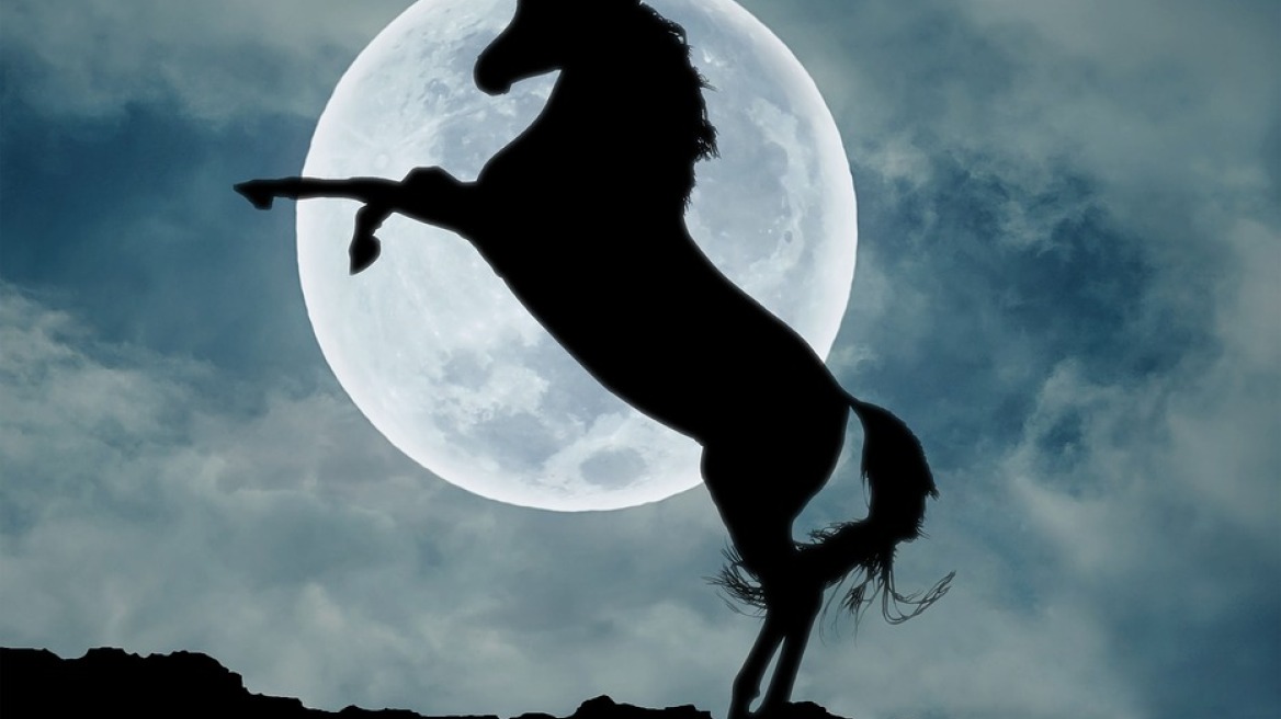 Ο μύθος του μονόκερου «γεννήθηκε» από ένα πραγματικό πλάσμα με το οποίο συνυπήρξαν οι πρόγονοί μας!