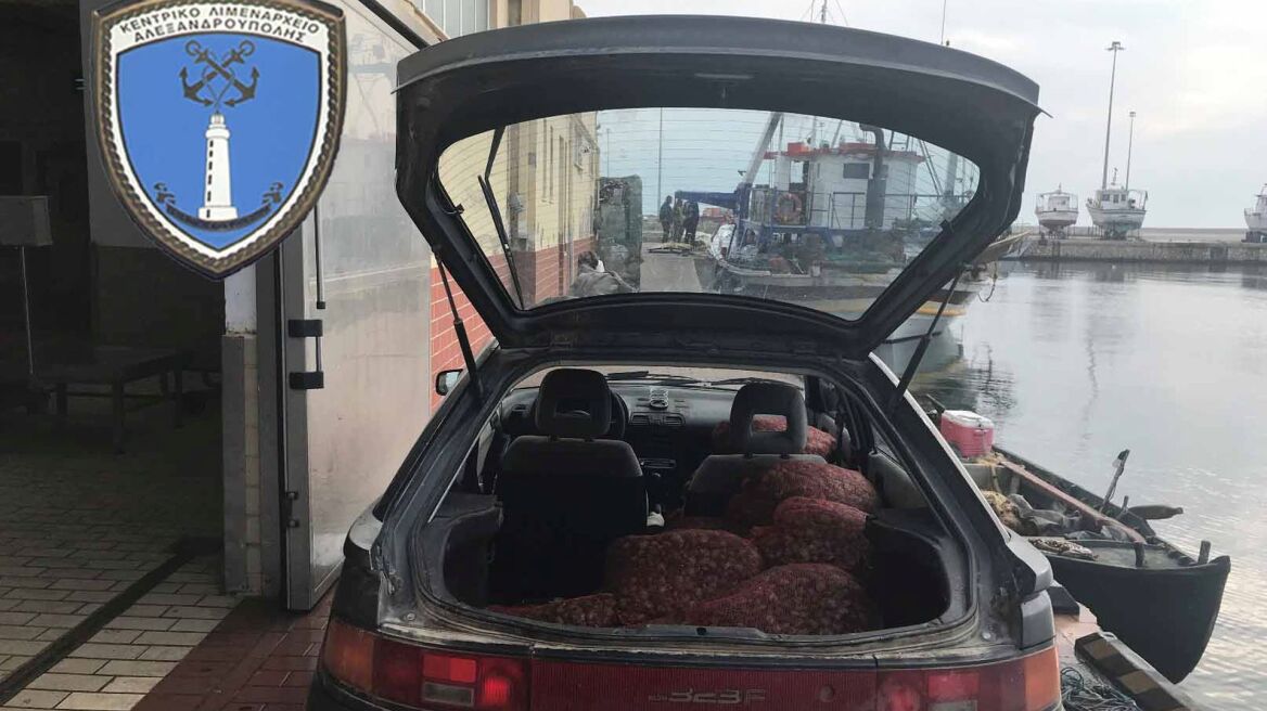 Αλεξανδρούπολη: Φυγόποινος «πιάστηκε» με 801 κιλά ακατάλληλα όστρακα