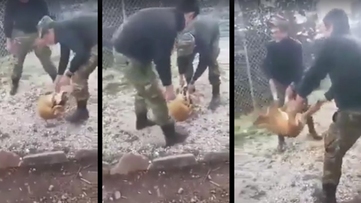 Καταδικάστηκαν οι νεαροί που είχαν κακοποιήσει σκύλο όταν ήταν φαντάροι