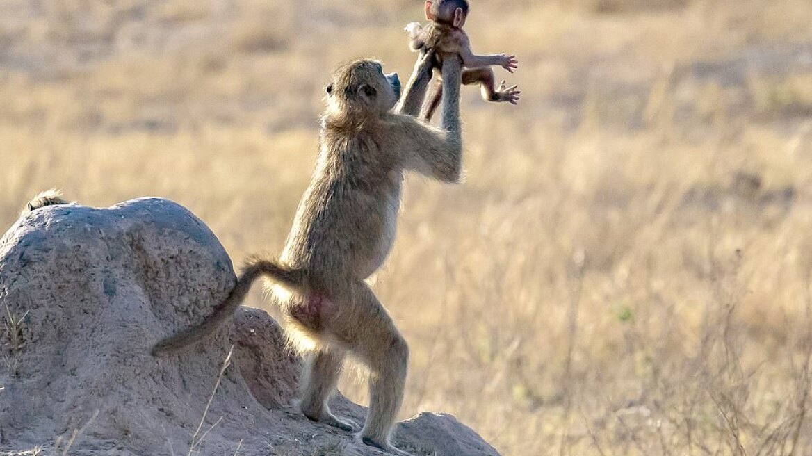 Η μαγεία της φύσης μέσα από 10 απίθανες φωτογραφίες