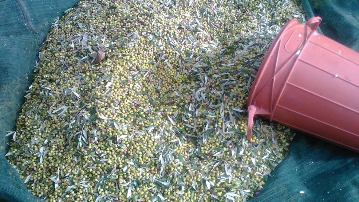 Ηράκλειο: Άφησαν το κλειδί του σπιτιού στους… διαρρήκτες!