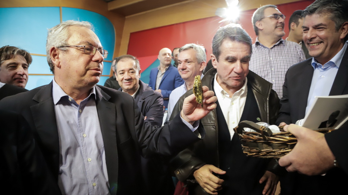  Διευκρινίσεις Μαλέλη για ΣΥΡΙΖΑ: Το ότι είναι νεοφιλελεύθερος ο Μητσοτάκης δεν σημαίνει πως αυτοί είναι προοδευτικοί