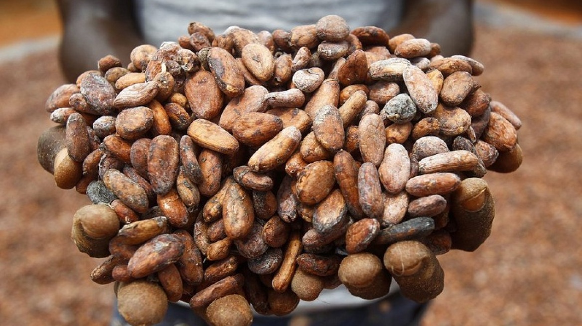 Επιστήμονες υποστηρίζουν ότι θα ξεμείνουμε από σοκολάτα μέσα σε 40 χρόνια